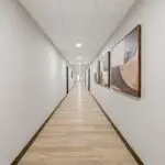 The Corridor 16